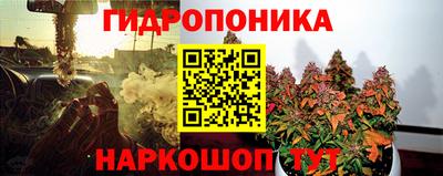 крисы Среднеуральск